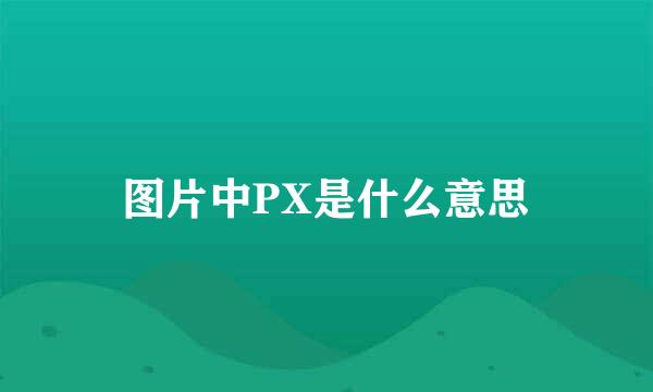 图片中PX是什么意思