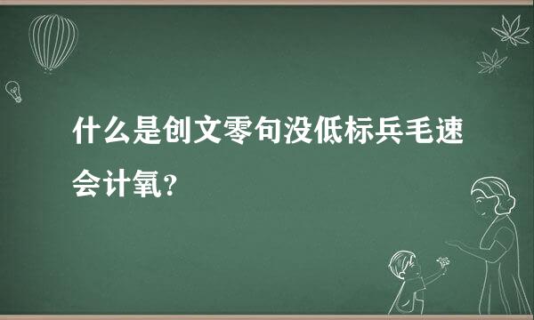 什么是创文零句没低标兵毛速会计氧？