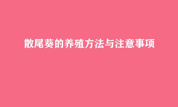 散尾葵的养殖方法与注意事项