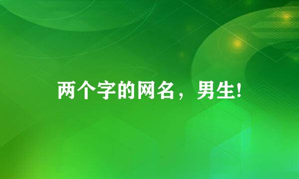 两个字的网名，男生!