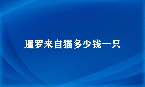 暹罗来自猫多少钱一只