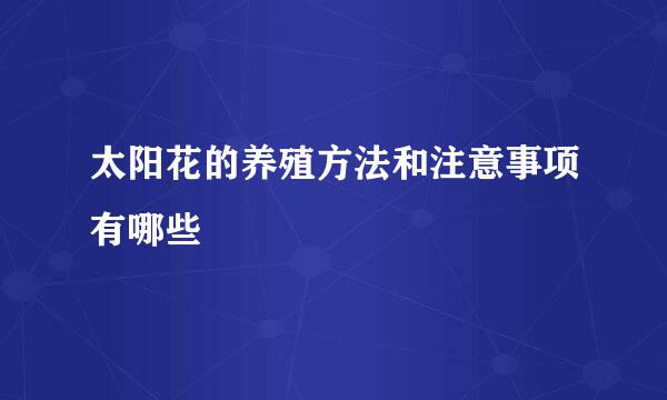 太阳花的养殖方法和注意事项有哪些