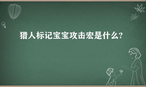 猎人标记宝宝攻击宏是什么?