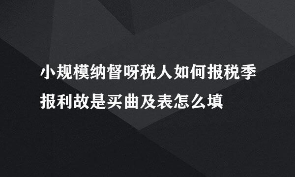 小规模纳督呀税人如何报税季报利故是买曲及表怎么填