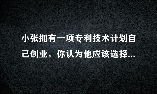 小张拥有一项专利技术计划自己创业，你认为他应该选择那种创业途径？