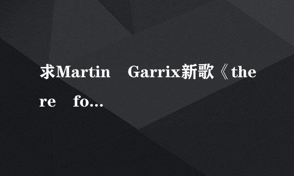 求Martin Garrix新歌《there for you》的mp3音源，百度网盘也可...