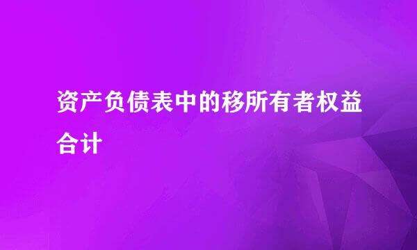 资产负债表中的移所有者权益合计