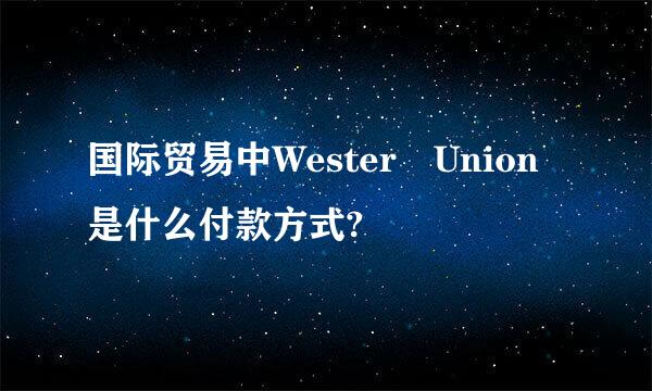 国际贸易中Wester Union是什么付款方式?