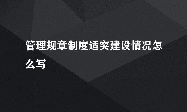 管理规章制度适突建设情况怎么写