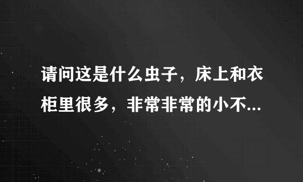 请问这是什么虫子，床上和衣柜里很多，非常非常的小不仔细看都看不到它，这个虫子对人身体有害吗，床上很