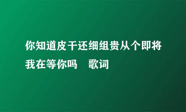 你知道皮干还细组贵从个即将我在等你吗 歌词