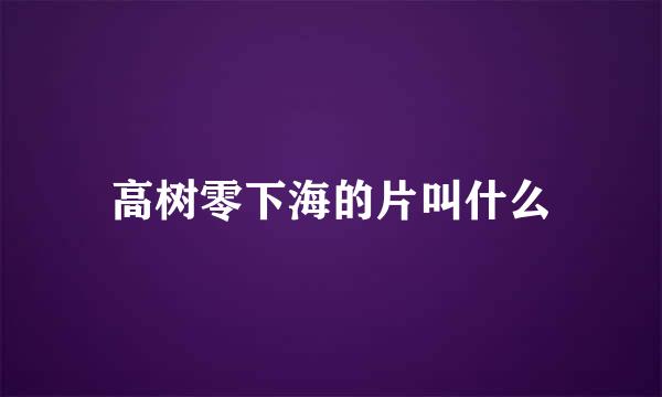 高树零下海的片叫什么