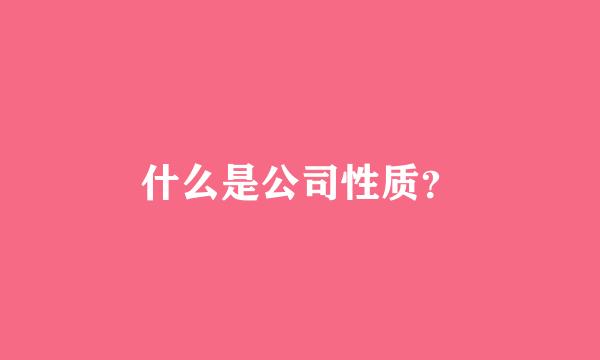 什么是公司性质？