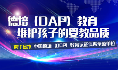 DDP与DAP的区别？