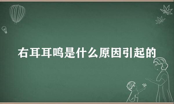 右耳耳鸣是什么原因引起的