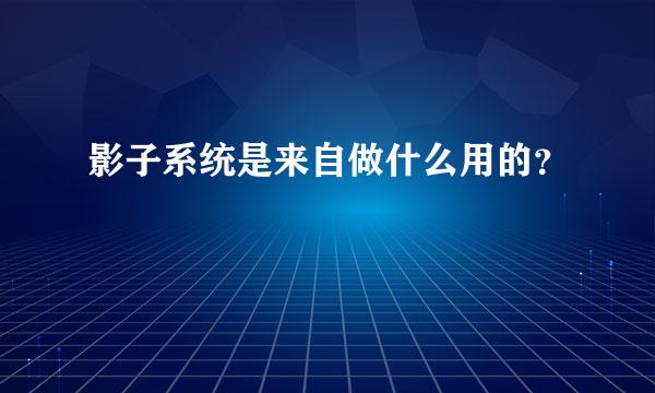 影子系统是来自做什么用的？