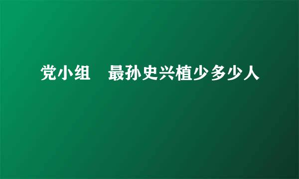 党小组 最孙史兴植少多少人