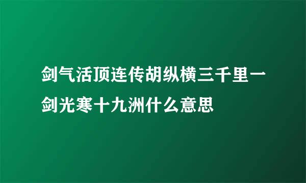 剑气活顶连传胡纵横三千里一剑光寒十九洲什么意思