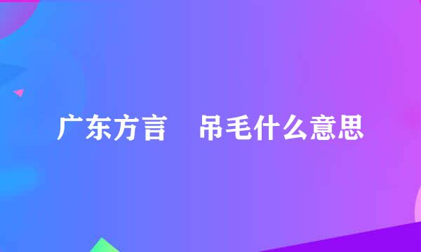 广东方言 吊毛什么意思