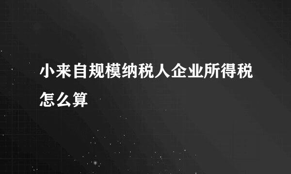 小来自规模纳税人企业所得税怎么算