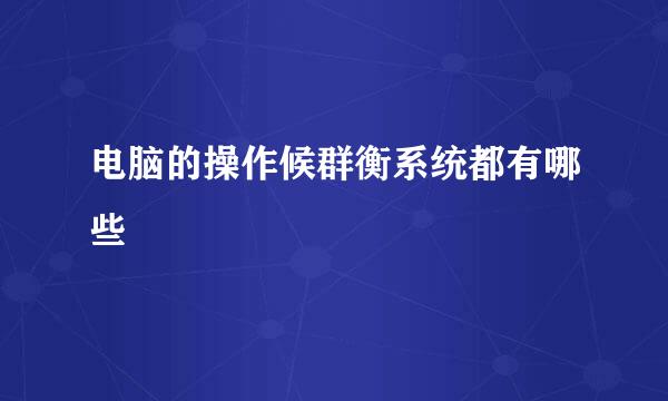 电脑的操作候群衡系统都有哪些