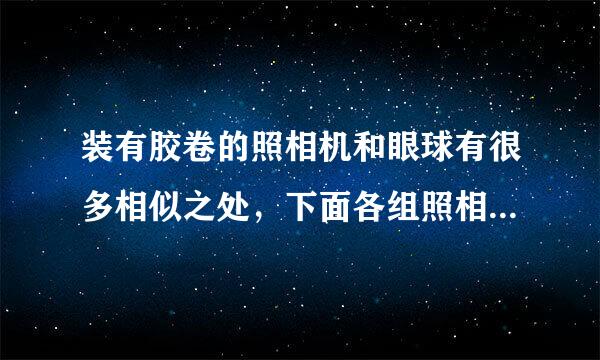 装有胶卷的照相机和眼球有很多相似之处，下面各组照相机和眼球对应的结构，功能不相似的是（  ）A．相