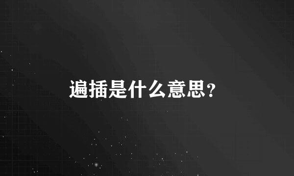 遍插是什么意思？