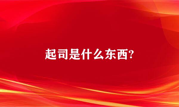 起司是什么东西?