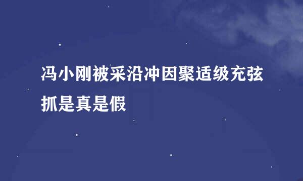 冯小刚被采沿冲因聚适级充弦抓是真是假