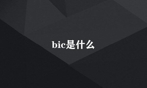 bic是什么