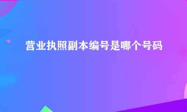 营业执照副本编号是哪个号码