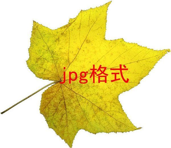 jpg和png有什么区别