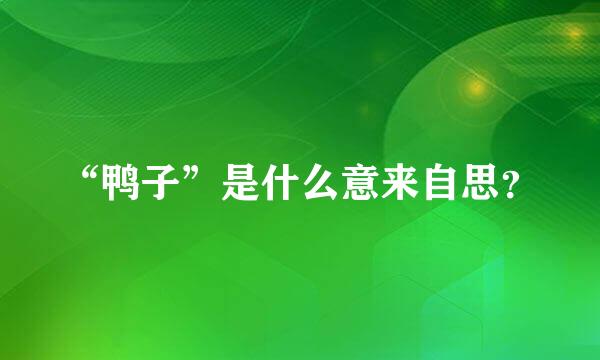 “鸭子”是什么意来自思？