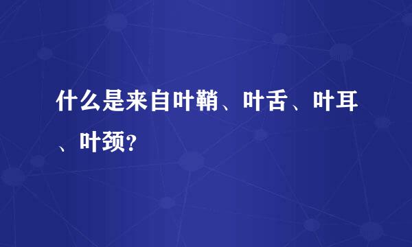 什么是来自叶鞘、叶舌、叶耳、叶颈？