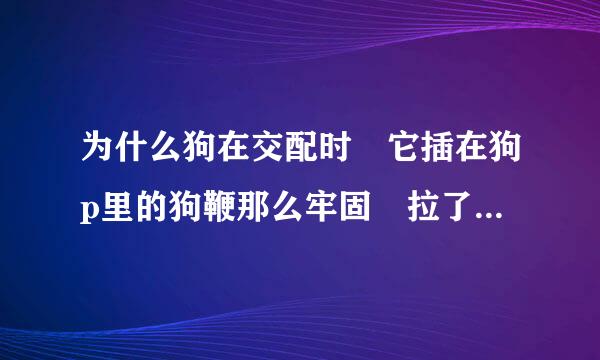 为什么狗在交配时 它插在狗p里的狗鞭那么牢固 拉了附财适考米视首什毛都拉不开 什么道理