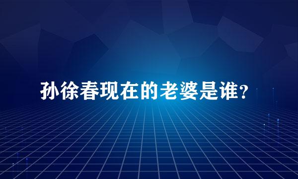 孙徐春现在的老婆是谁？