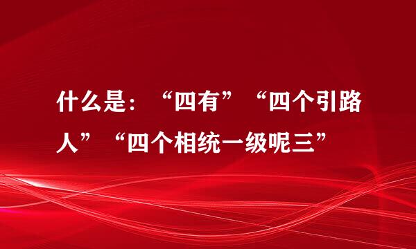 什么是：“四有”“四个引路人”“四个相统一级呢三”