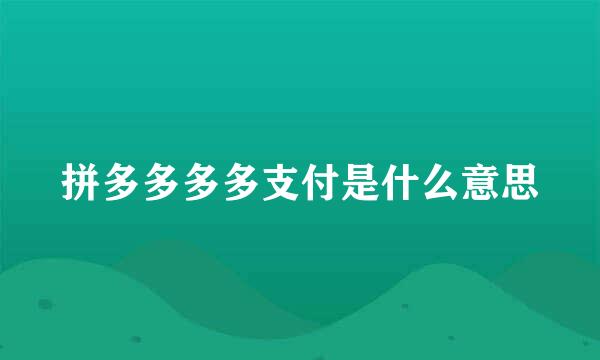 拼多多多多支付是什么意思