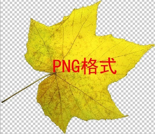 jpg和png有什么区别