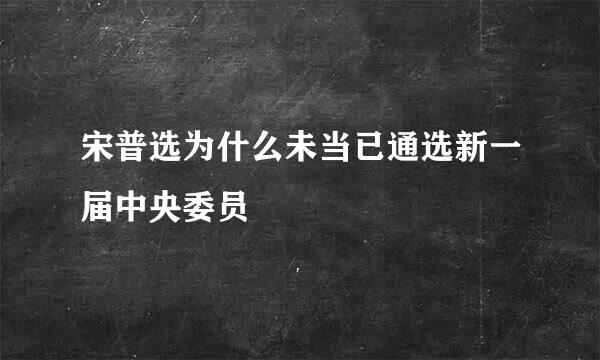 宋普选为什么未当已通选新一届中央委员