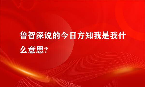 鲁智深说的今日方知我是我什么意思?