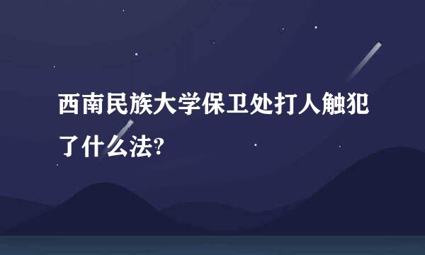 西南民族大学保卫处打人触犯了什么法?