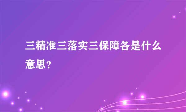 三精准三落实三保障各是什么意思？