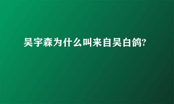 吴宇森为什么叫来自吴白鸽?