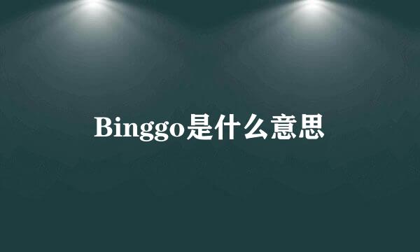 Binggo是什么意思