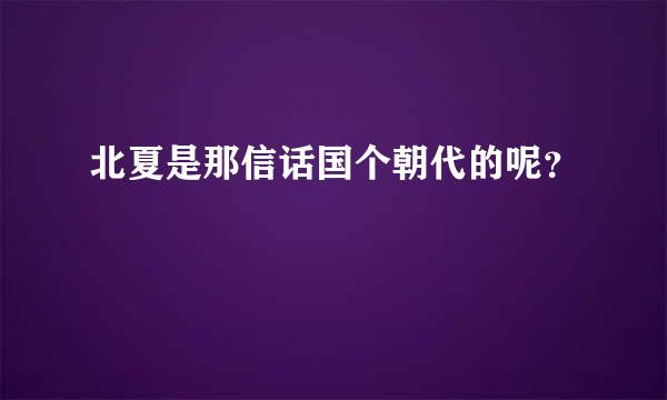 北夏是那信话国个朝代的呢？