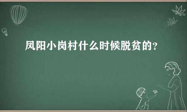 凤阳小岗村什么时候脱贫的？