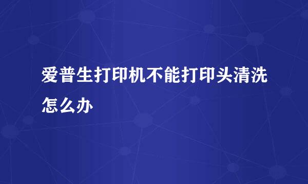 爱普生打印机不能打印头清洗怎么办