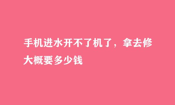 手机进水开不了机了，拿去修大概要多少钱