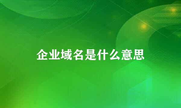 企业域名是什么意思